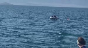 Патриотический заплыв по Байкалу.