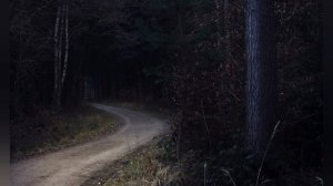 Страшные Истории-№1😱