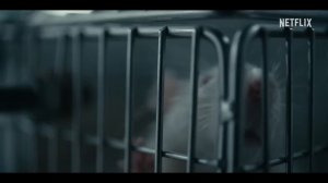 Алиса в Пограничье (3 Сезон) (Субтитры, 2025) Netflix Сериал HD