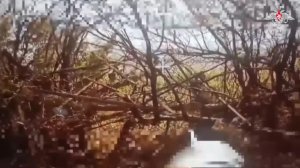🎯 От наших дронов не скрыться