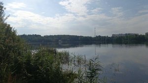 Магнолия