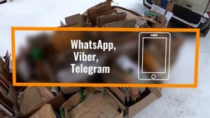 Как узнать цены на макулатуру в Санкт-Петербурге