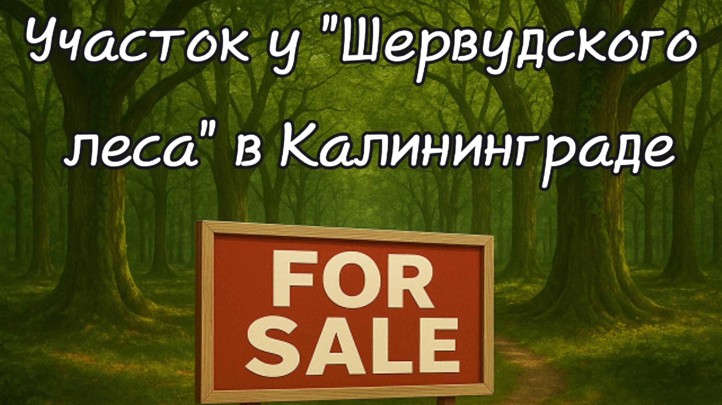 Участок у "Шервудского леса" в Центральном районе Калининграда смотреть онлайн