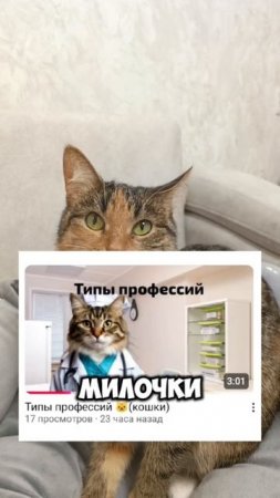 у нас на рутубе вышел новый ролик.
