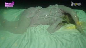 Alok & Kylie Minogue - last night i dreamt i fell in love (VivaTv Ru Video)