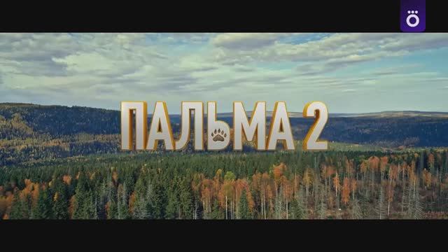 Пальма 2. трейлер