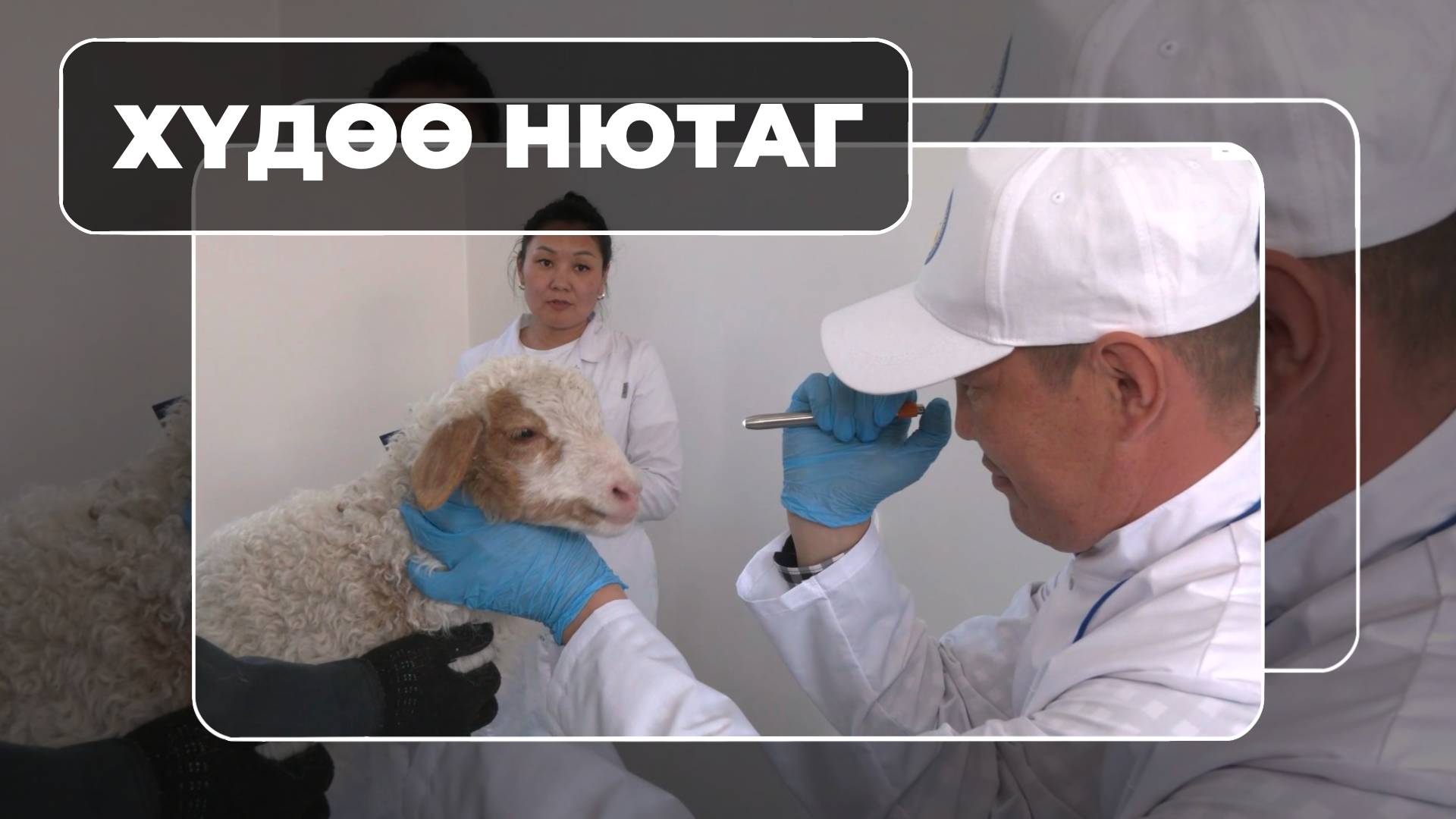 Хүдөө нютаг. Малай эмшэд