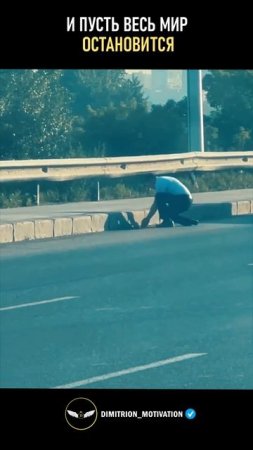 Пусть весь мир остановиться #добро