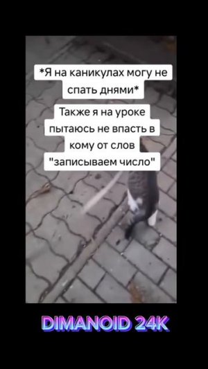 у кого так же?
