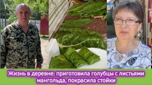 Жизнь в деревне: приготовила голубцы в листьях мангольд, покрасила стойки