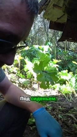TG: nexpertGM ГДЕ ГАЙКИ? #shorts #независимыйэксперт #георгиймедведев #авто #машина #зил
