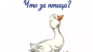 Что за птица?  В.Сутеев