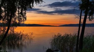 🎼 «Цыганка» - Рада Рай  & Edgar