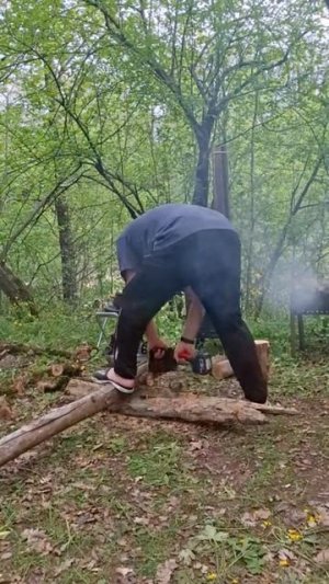 Акумуляторная пила