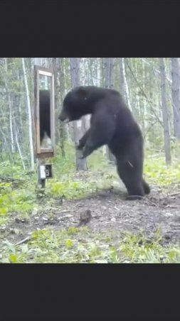 По утрам лучше на себя в зеркало не смотреть