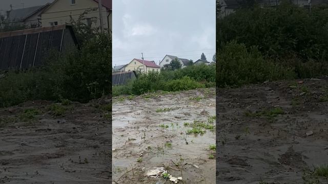 Участок 12 соток В черте города 
СТ Калинка. Каменский сельсовет