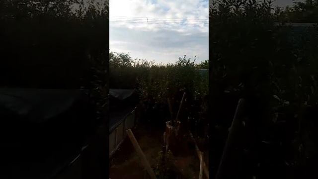 Жильё-До-Дача три в одном