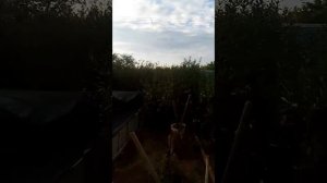 Жильё-До-Дача три в одном