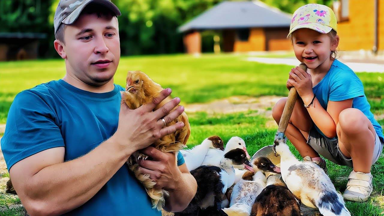 Жизнь семьи между ЧЕРНИЧНЫМ и ЛИПОВЫМ!