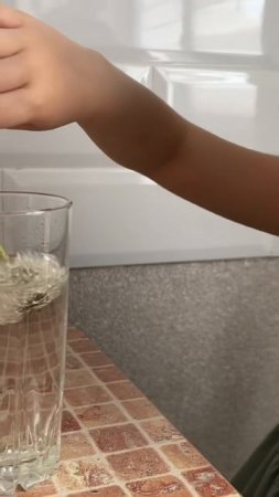 Эксперименты с детьми