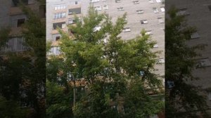 VID-20250715-WA0005.mp4