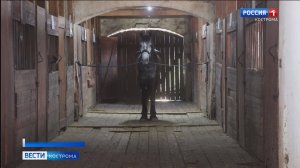 Легендарный костромской конезавод в Медведках остался практически без кормов