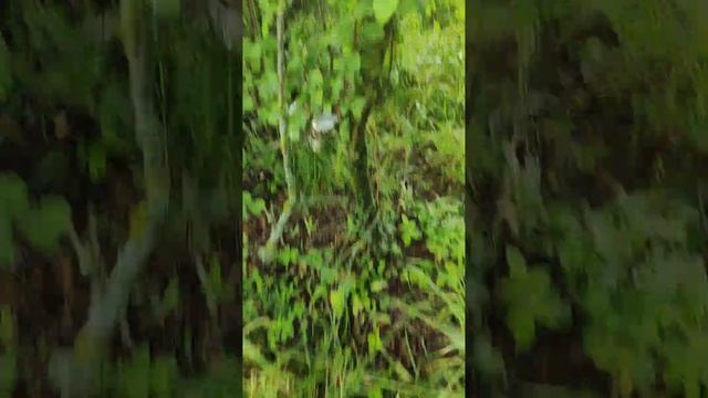 Гуляю (часть 2)