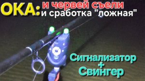 🔥Хитрые РЫБЫ: червей сожрали и ложная сработка🔥Ока - сигнализатор+свингер на рыбалке !!!!