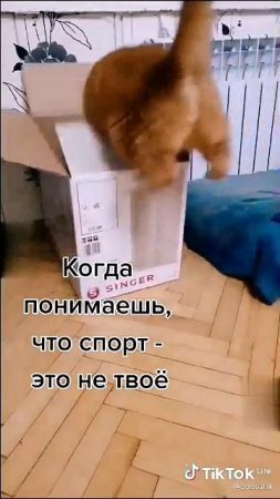 when you realize that sport is not yours