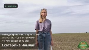 Применение гербицида Корнкордия, МД в Амурской области