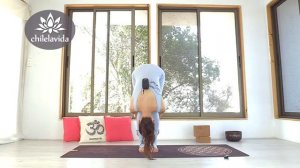 РАСТЯЖКА НА ВСЕ ТЕЛО - День 7 Растяжка Дома Растяжка СПИНЫ. Йога |Елена Малова