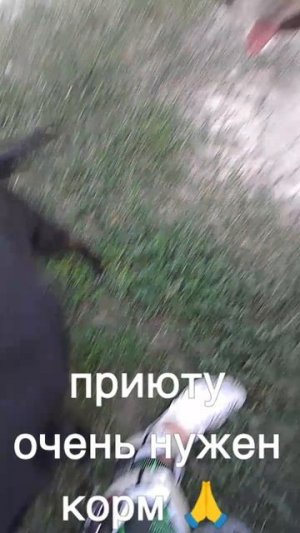 +7985 193 0027 сбер элплат