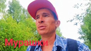 Z.Б.180. Бабушка это святое! Работа с друзьями и бильярд тоже. Мурашками.