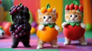 смешные танцующие котята в костюме фруктов