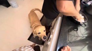 Пасха в ИНДИИ! Учим местных русским традициямпечем КУЛИЧИ! Как получилось… лучше промолчу