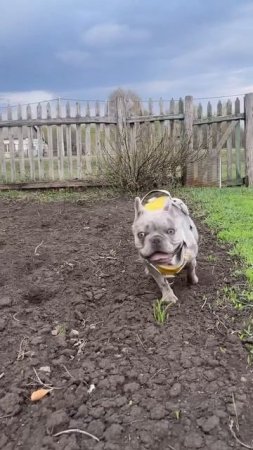 Наконец-то!