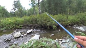 СЛУЧАЙНО ПОПАЛ НА РУЧЕЙ 10 см ГЛУБИНА РЫБЫ КИШИТ!! Рыбалка на Алтае