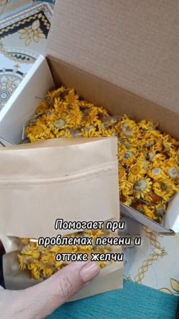Пупавка красильная