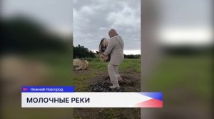 Молочный форум прошёл на территории нижегородской Ярмарки