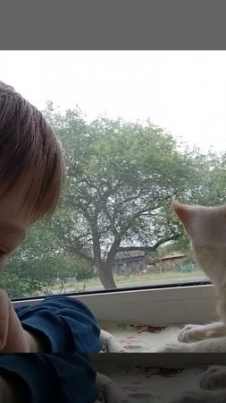 ЯЯЯЯЯЯЯЯЯЯЯЯ КОТИК