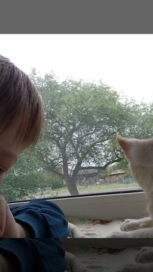 ЯЯЯЯЯЯЯЯЯЯЯЯ КОТИК