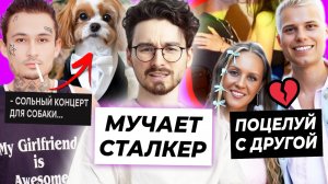 Брайна Мапса преследует сталкер / Янгер довёл жену до слез / Моргенштерн выступит для собаки