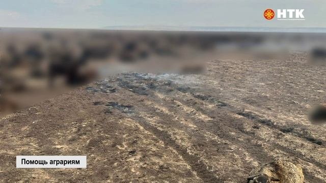 Минсельхоз РК поддержит фермеров Целинного района, пострадавших от пожара