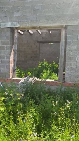 Уборка на участке до)