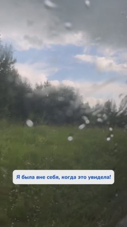 И как новенький! 
Арт WB #269153142
Ozon #1740810271 на #пенадлясантехники