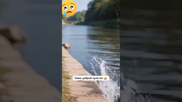 Правда жизни  #shorts