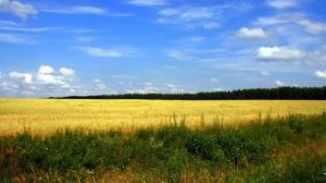 Важная информация для тех, кто ищет Христа. Святитель Игнатий Брянчанинов.