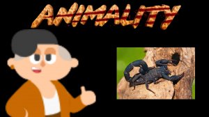Lin animality - scorpion