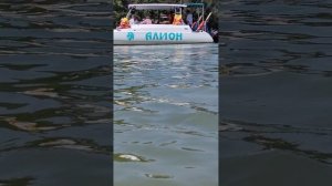 Видео N 119