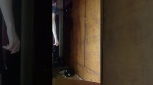 Прямая Трансляция